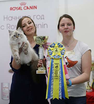 �������� ����� '���-�����-������' 11-12 ������ 2015  12-186-169A5520 copy.jpg